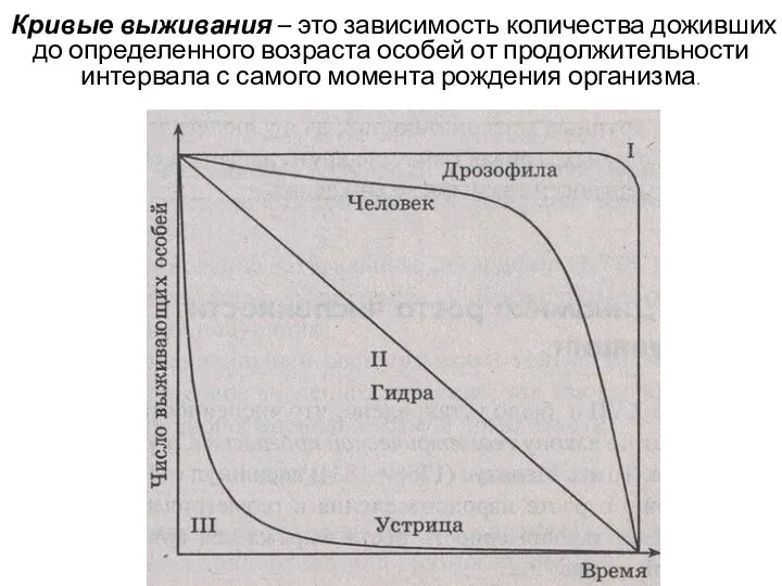 Кривые выживания – это зависимость количества доживших до определенного возраста особей от