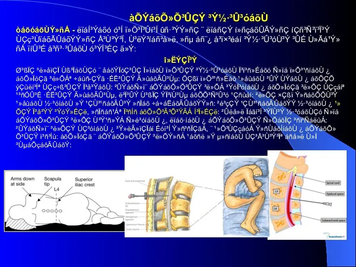 àÕÝáõÕ»Õ³ÛÇÝ ³Ý½·³Û³óáõÙ òáõóáõÙÝ»ñÁ - ëïáÍ³Ýáõó ó³Í ï»Õ³Ï³Ûí³Í ûñ·³ÝÝ»ñÇ ¨ ëïáñÇÝ í»ñçáõÛÃÝ»ñÇ íÇñ³Ñ³ï³Ï³Ý