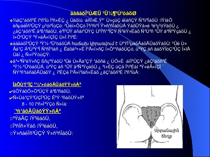 äàâàõÎ²ÚÆÜ ²Ü¼¶²Ú²òàõØ ¾åÇ¹áõñ³É ï³ñ³Íù Ï³ñ»ÉÇ ¿ Ùáõïù ·áñÍ»É Ý³¨ Ù»çùÇ ëïáñÇÝ Ñ³ïí³ÍáõÙ