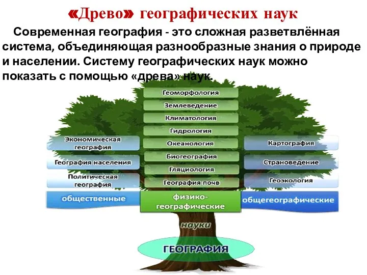 «Древо» географических наук Современная география - это сложная разветвлённая система, объединяющая разнообразные