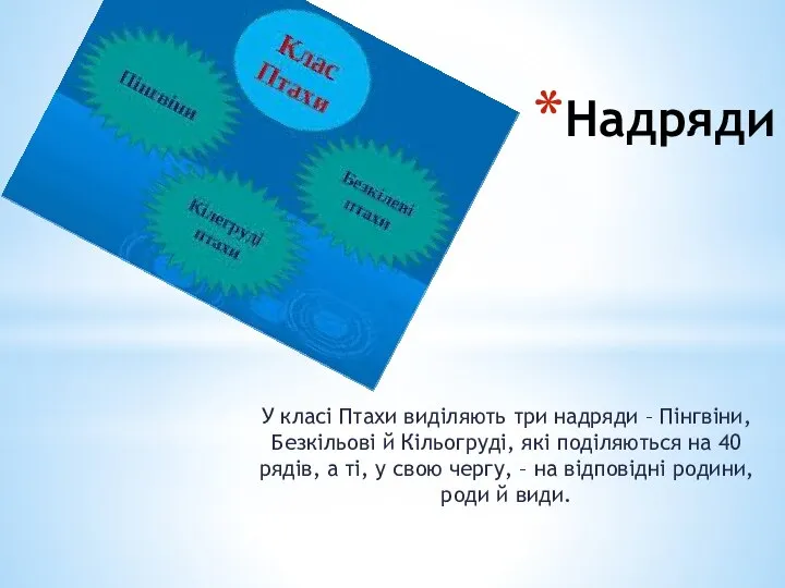 Надряди У класі Птахи виділяють три надряди – Пінгвіни, Безкільові й Кільогруді,