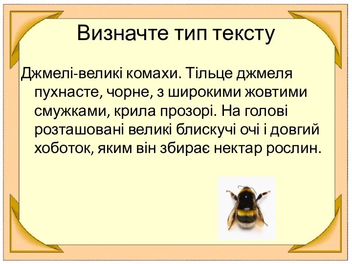 Визначте тип тексту Джмелі-великі комахи. Тільце джмеля пухнасте, чорне, з широкими жовтими