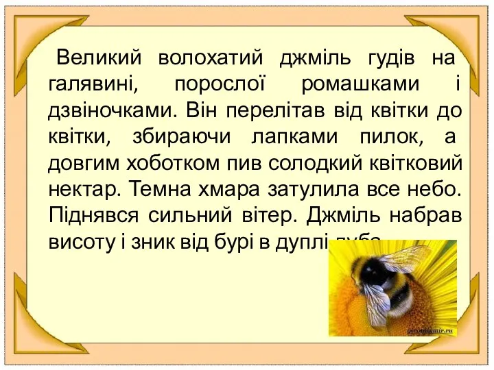 Великий волохатий джміль гудів на галявині, порослої ромашками і дзвіночками. Він перелітав