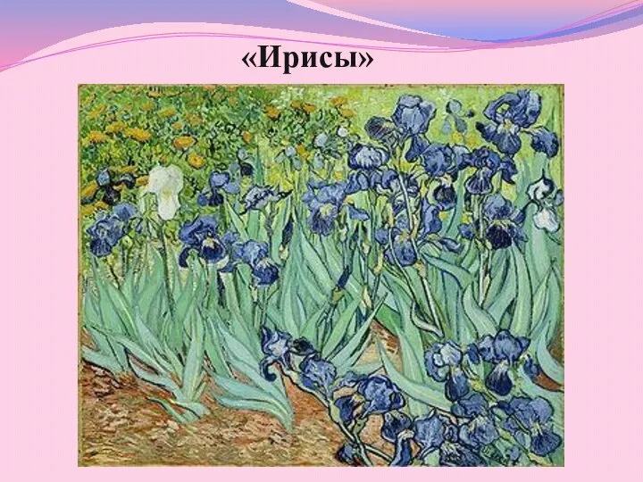 «Ирисы»