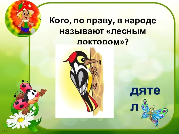 дятел Кого, по праву, в народе называют «лесным доктором»?