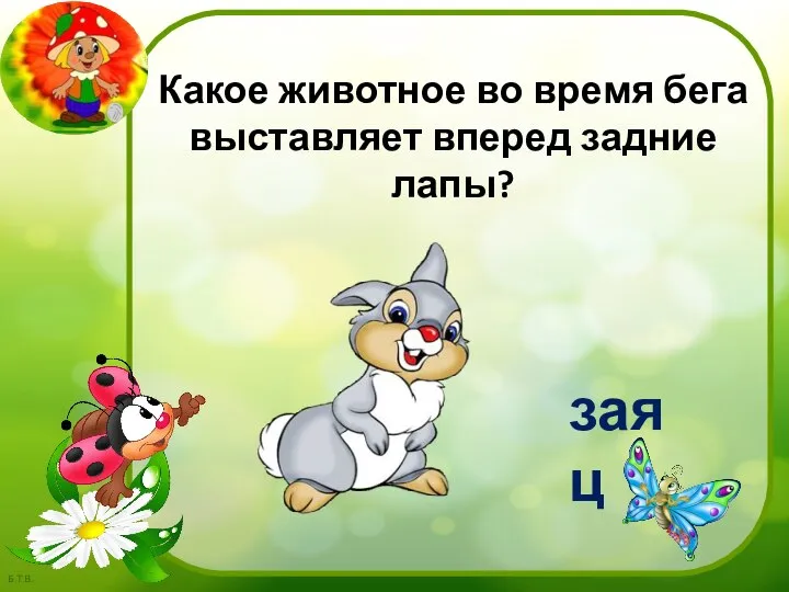 заяц Какое животное во время бега выставляет вперед задние лапы?