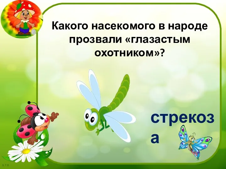 стрекоза Какого насекомого в народе прозвали «глазастым охотником»?