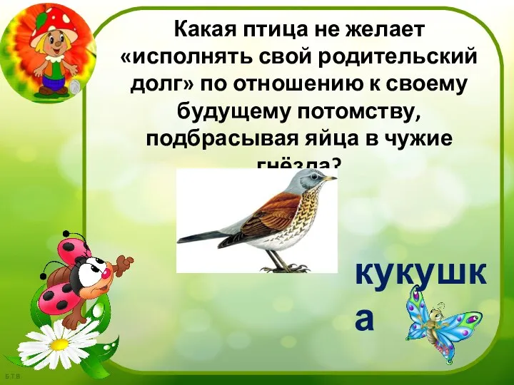 кукушка Какая птица не желает «исполнять свой родительский долг» по отношению к