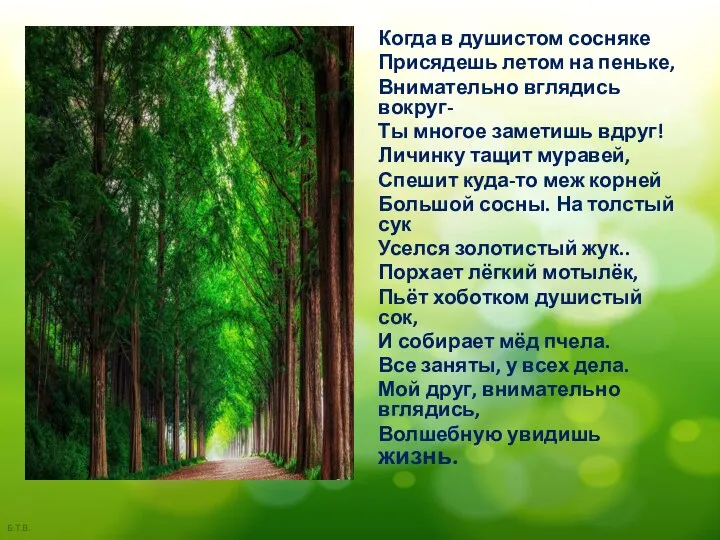 Когда в душистом сосняке Присядешь летом на пеньке, Внимательно вглядись вокруг- Ты