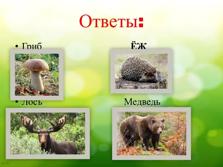 Ответы: Гриб ЁЖ Лось Медведь