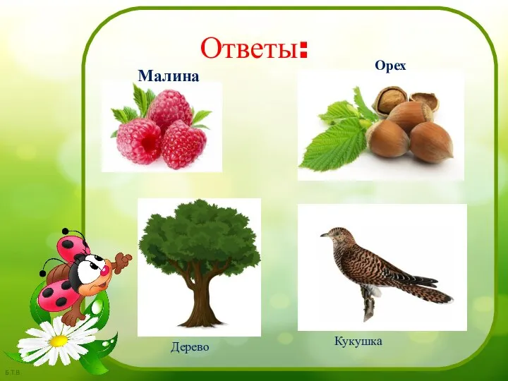 Ответы: Малина Орех Дерево Кукушка