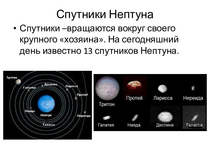 Спутники Нептуна Спутники –вращаются вокруг своего крупного «хозяина». На сегодняшний день известно 13 спутников Нептуна.