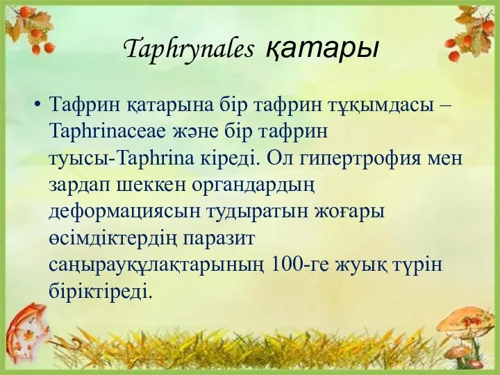 Taphrynales қатары Тафрин қатарына бір тафрин тұқымдасы – Taphrinaceae және бір тафрин