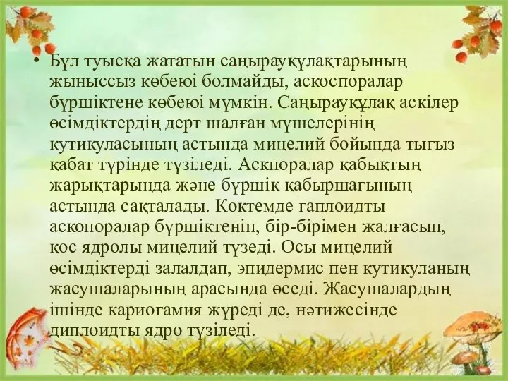 Бұл туысқа жататын саңырауқұлақтарының жыныссыз көбеюі болмайды, аскоспоралар бүршіктене көбеюі мүмкін. Саңырауқұлақ