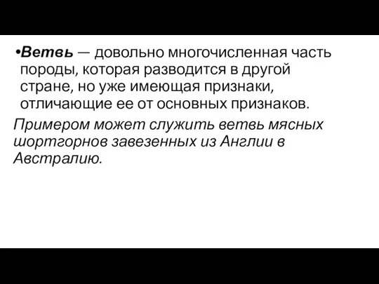 Ветвь — довольно многочисленная часть породы, которая разводится в другой стране, но