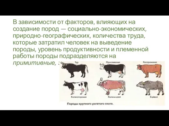 В зависимости от факторов, влияющих на создание пород — социально-экономических, природно-географических, количества