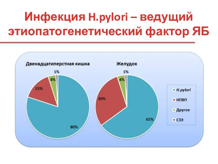 Инфекция H.pylori – ведущий этиопатогенетический фактор ЯБ