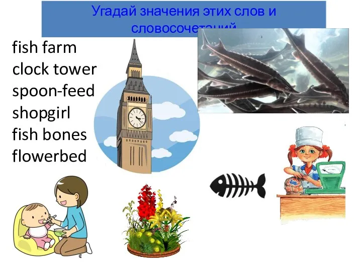 fish farm clock tower spoon-feed shopgirl fish bones flowerbed