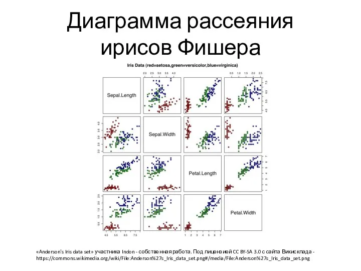 Диаграмма рассеяния ирисов Фишера «Anderson's Iris data set» участника Indon - собственная