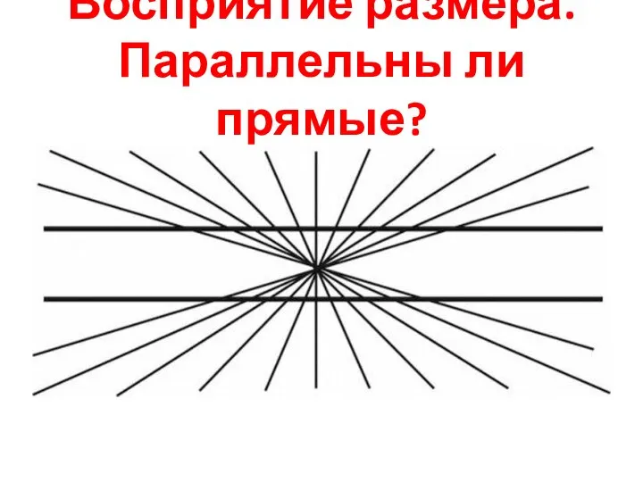 Восприятие размера. Параллельны ли прямые?