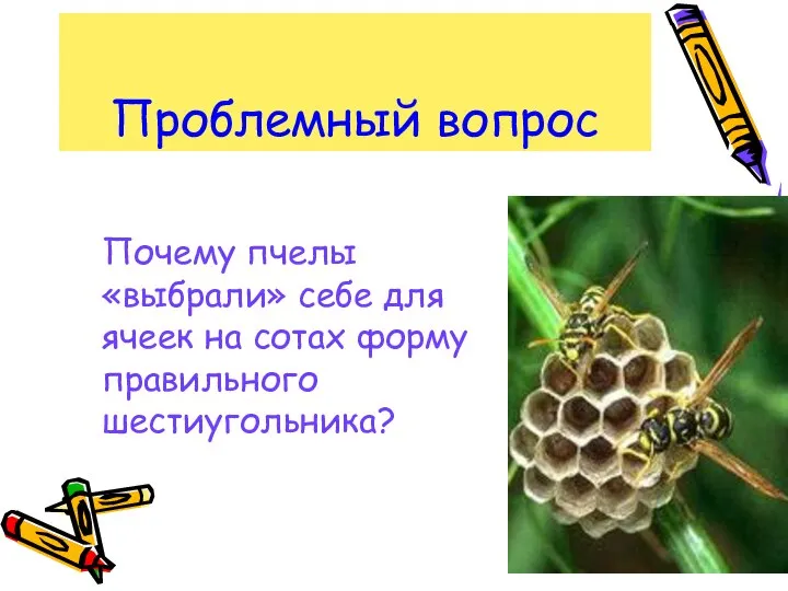 Проблемный вопрос Почему пчелы «выбрали» себе для ячеек на сотах форму правильного шестиугольника?