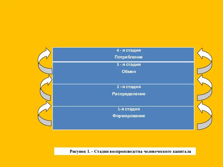 Рисунок 1. - Стадии воспроизводства человеческого капитала