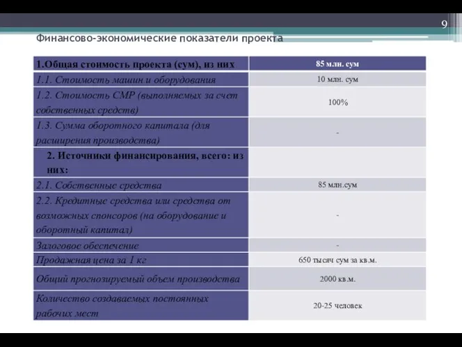 Финансово-экономические показатели проекта