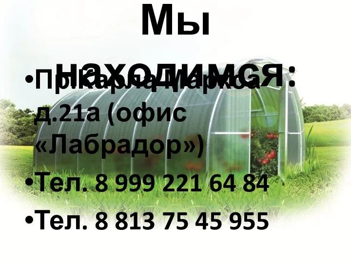 Мы находимся: Пр.Карла Маркса д.21а (офис «Лабрадор») Тел. 8 999 221 64