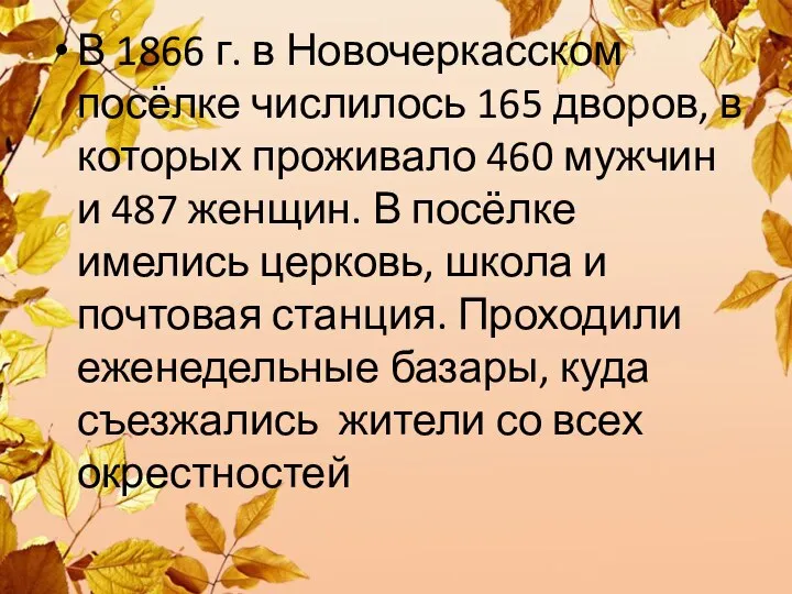 В 1866 г. в Новочеркасском посёлке числилось 165 дворов, в которых проживало