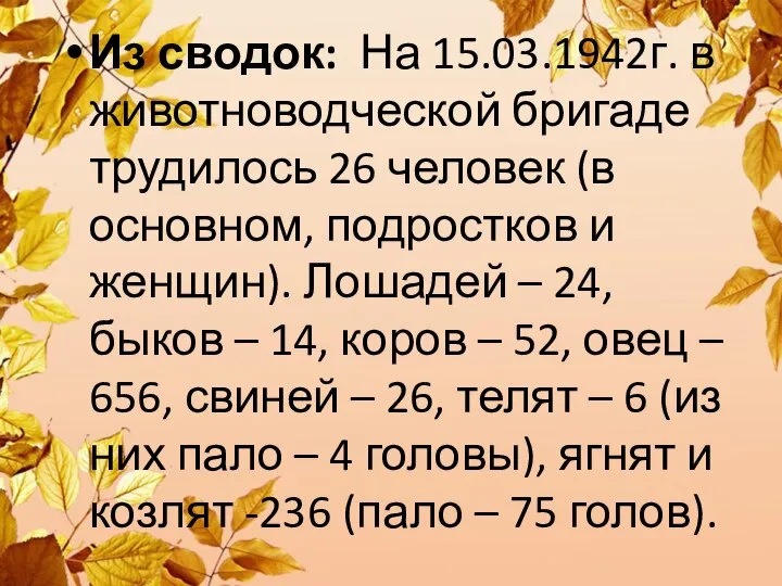 Из сводок: На 15.03.1942г. в животноводческой бригаде трудилось 26 человек (в основном,