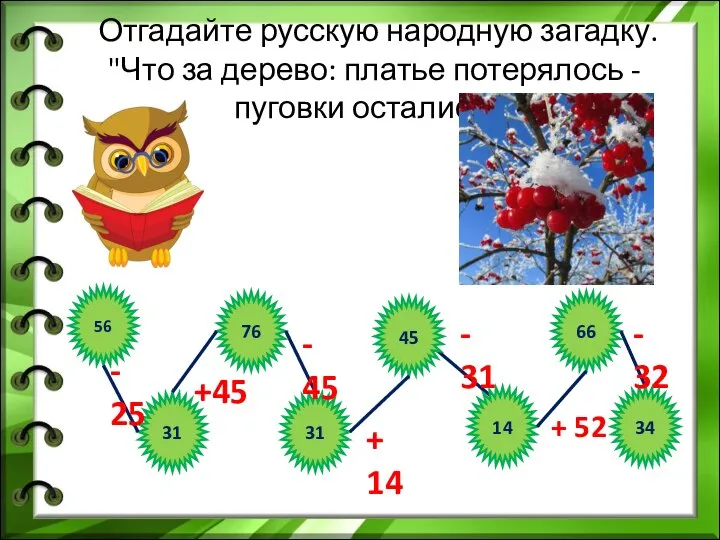 Отгадайте русскую народную загадку. "Что за дерево: платье потерялось - пуговки остались?"