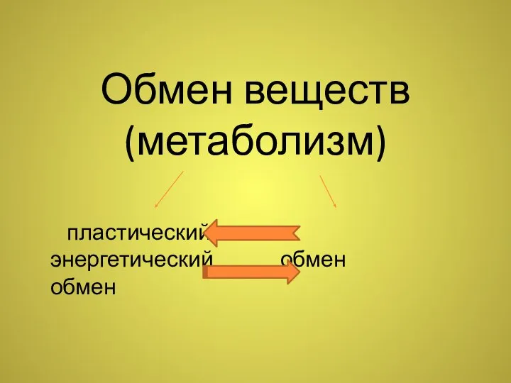 Обмен веществ (метаболизм) пластический энергетический обмен обмен