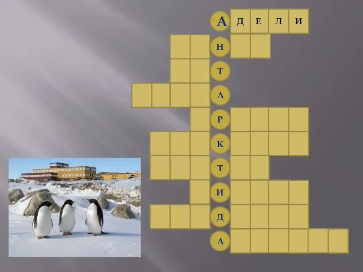 А И Л Е Д 1.Самый распространенный вид пингвинов в Антарктиде Н