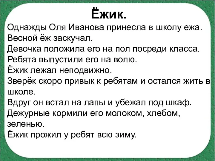 Ёжик. Однажды Оля Иванова принесла в школу ежа. Весной ёж заскучал. Девочка