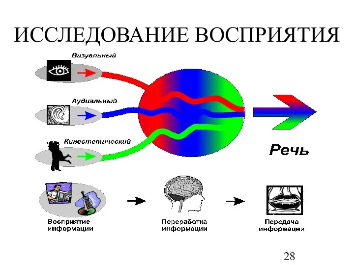 ИССЛЕДОВАНИЕ ВОСПРИЯТИЯ