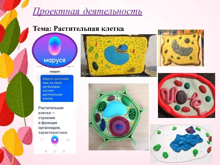 Проектная деятельность Тема: Растительная клетка