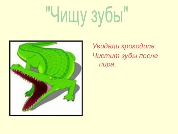 Увидали крокодила. Чистит зубы после пира. "Чищу зубы"