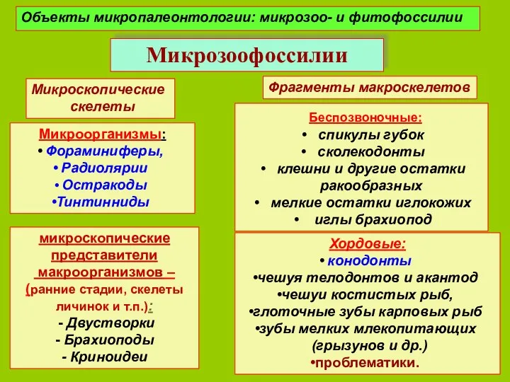 Объекты микропалеонтологии: микрозоо- и фитофоссилии Микроорганизмы: Фораминиферы, Радиолярии Остракоды Тинтинниды Микрозоофоссилии микроскопические