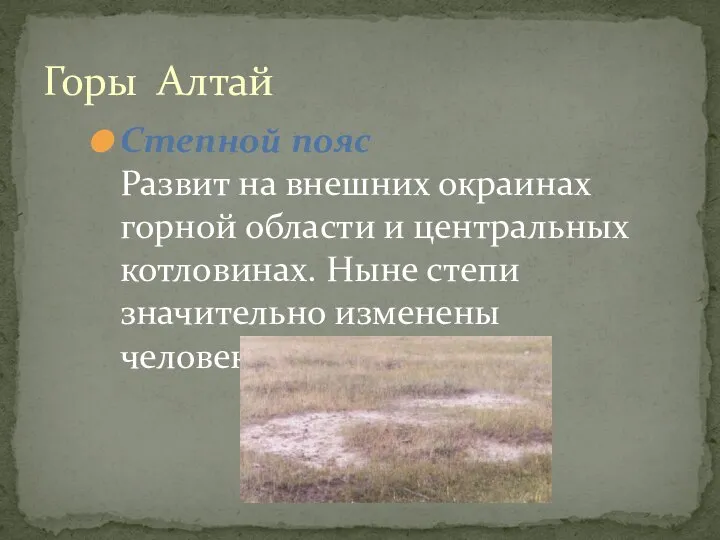 Горы Алтай Степной пояс Развит на внешних окраинах горной области и центральных