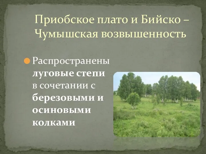 Приобское плато и Бийско – Чумышская возвышенность Распространены луговые степи в сочетании