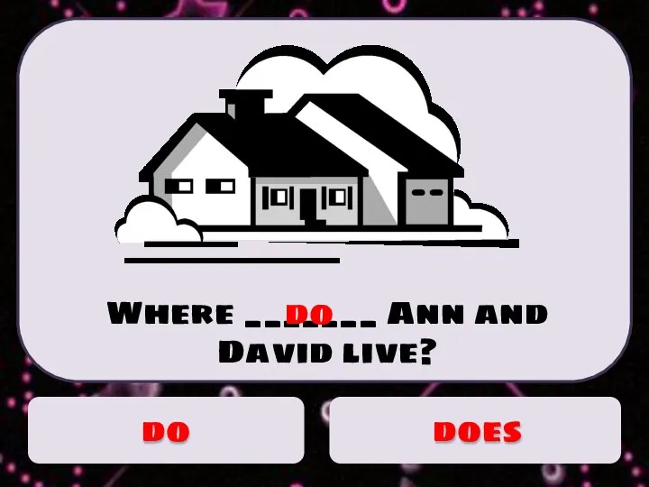 Where _______ Ann and David live? do