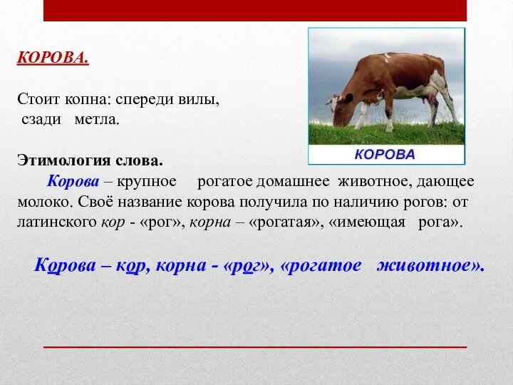 КОРОВА. Стоит копна: спереди вилы, сзади метла. Этимология слова. Корова – крупное