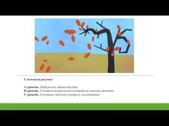 С помощью рисунка: А уровень. Определите данное явление В уровень. Составьте вопросы