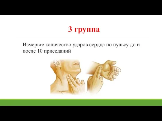 Измерьте количество ударов сердца по пульсу до и после 10 приседаний 3 группа