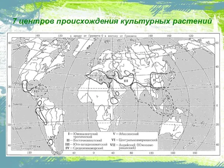 7 центров происхождения культурных растений