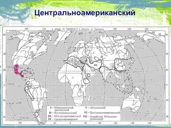 Центральноамериканский