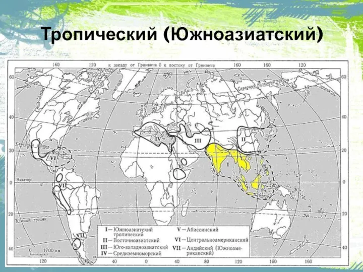 Тропический (Южноазиатский)