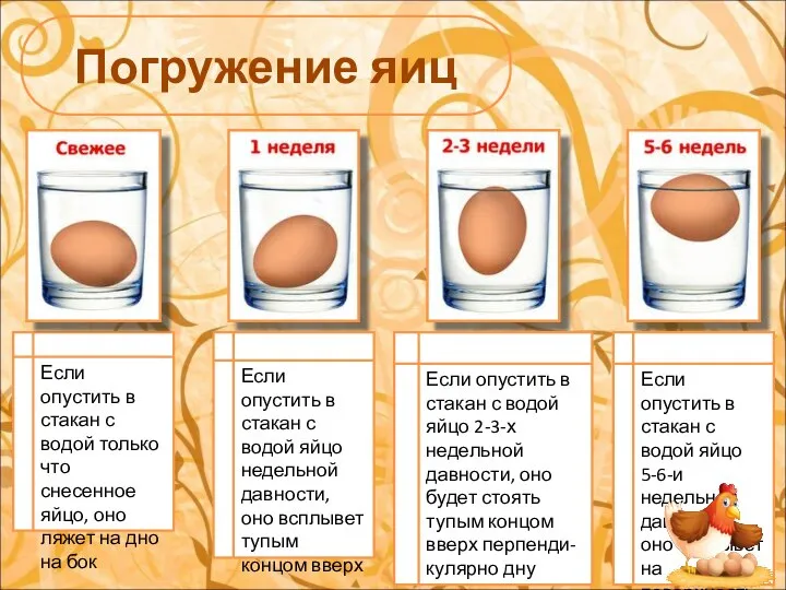 Погружение яиц Если опустить в стакан с водой только что снесенное яйцо,