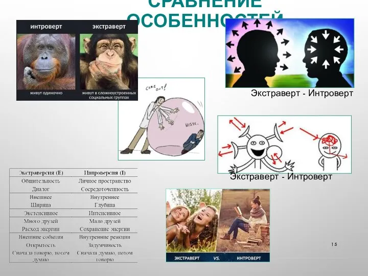 СРАВНЕНИЕ ОСОБЕННОСТЕЙ Экстраверт - Интроверт Экстраверт - Интроверт