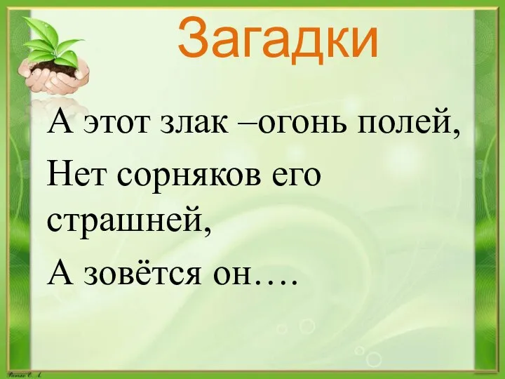 Загадки А этот злак –огонь полей, Нет сорняков его страшней, А зовётся он….